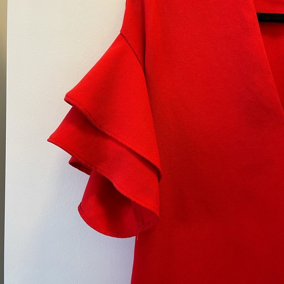 Zara Ruffle Sleeve Dress - Picture 4 of 4